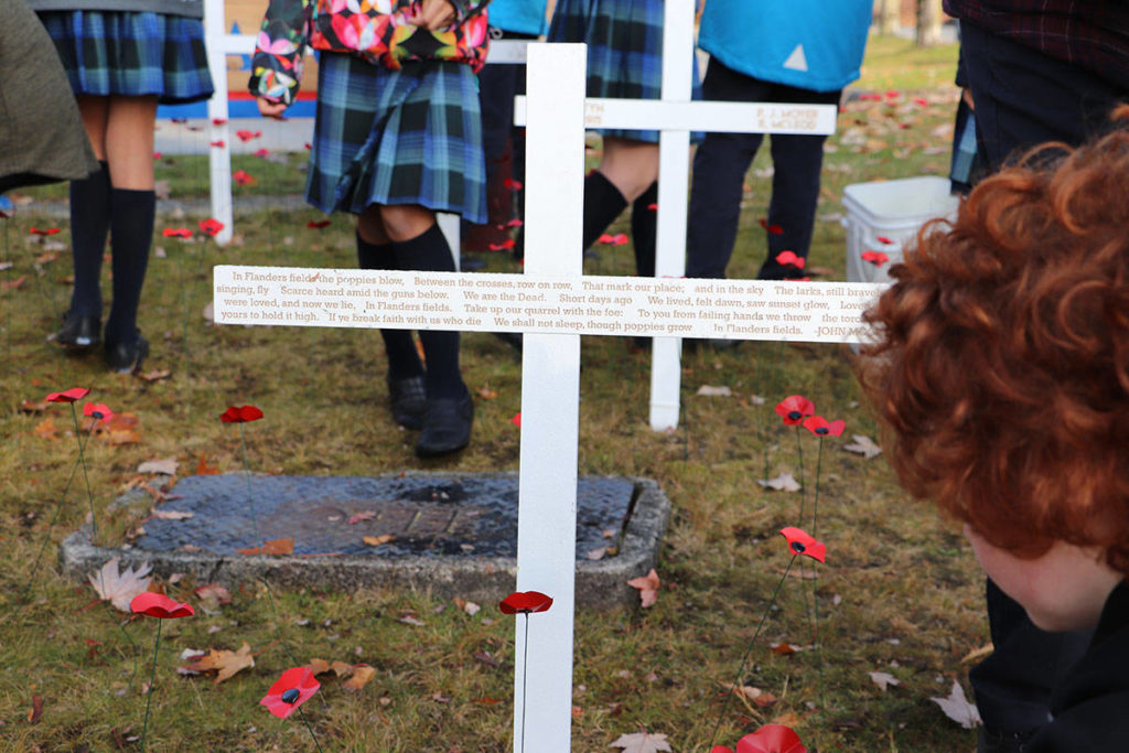 Maple Ridge students plant medal poppies at legion ahead of Remembrance Day